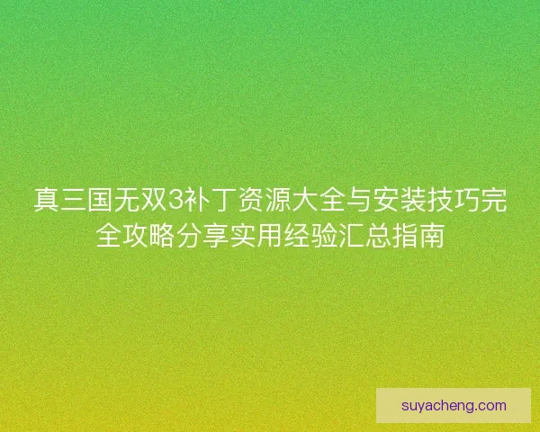 真三国无双3补丁资源大全与安装技巧完全攻略分享实用经验汇总指南
